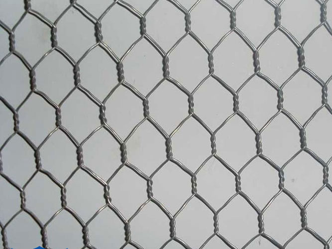 Hexagonal Wire Mesh